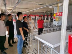 金亮麗熱霸安裝項目